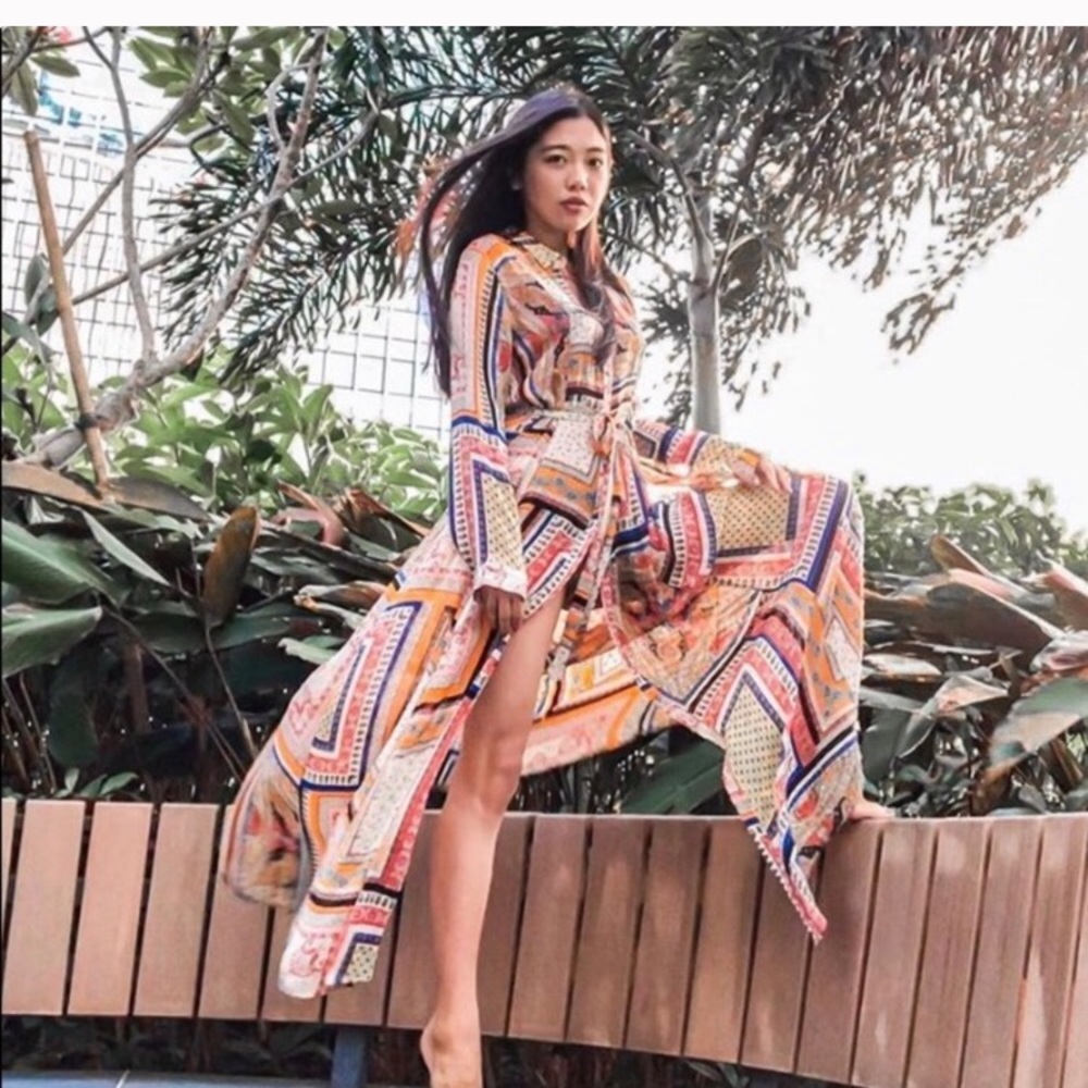 Zara Print Chiffon Dress - Picture 3 of 9